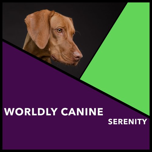 Calm Serenity cover art