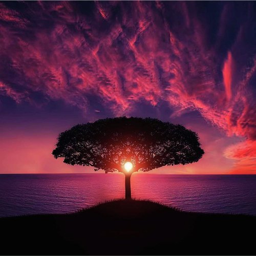 20 Complete Relaxation Tracks