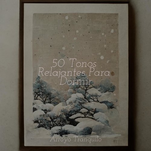 Relajación cover art