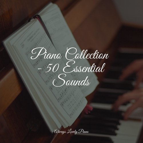 50 Totally Relaxing Songs for Working and Studying