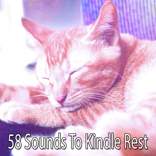58 Sounds To Kindle Rest