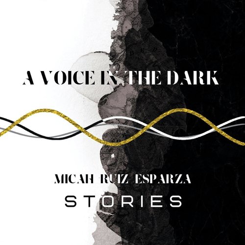 A Voice in the Dark