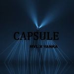 Capsule