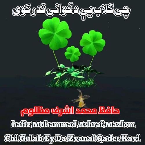 Chi Gulab Ey Da Zvanai Qader Kavi