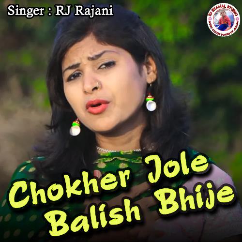 Chokher Jole Balish Bhije