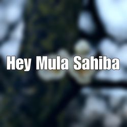 Hey Mula Sahiba