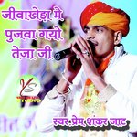 Jiva Kheda me pujwa gyo Teja ji