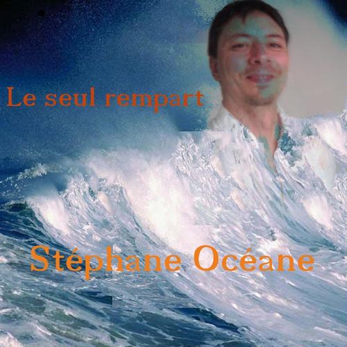L'oiseau Blessé cover art