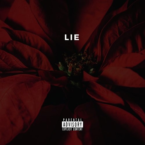 Lie