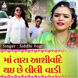 Maa Tara Ashirvade Thayi Che Lili Vadi-Ql1bSQ4FeFc