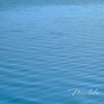 Manchala