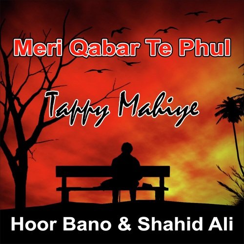 Meri Qabar Te Phul (Single)