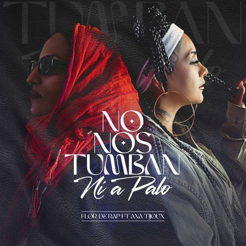 No Nos Tumban Ni a Palo_poster_image