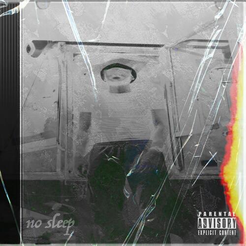Nicole cover art