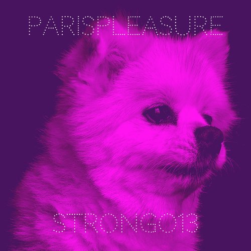 ParisPleasure cover art