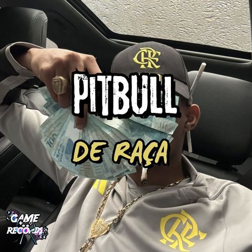 Pitbull de Raça