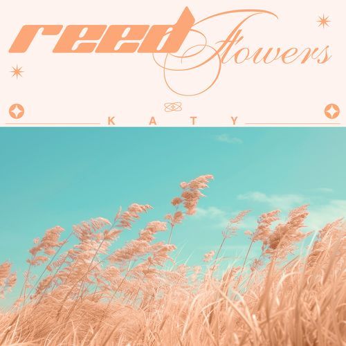 Reed Flowers_poster_image