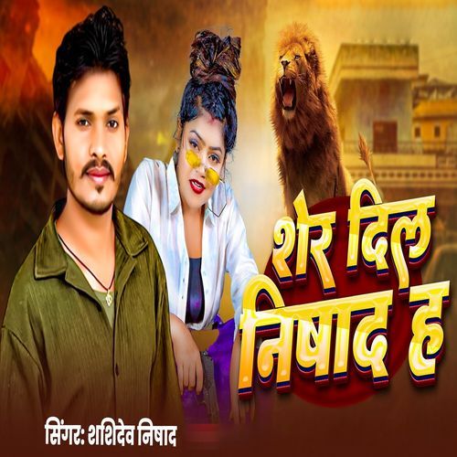 Sher Dil Nishad Ha cover art