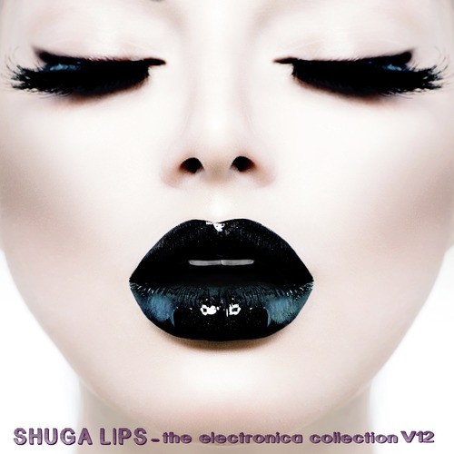 Shuga Lips: The Electronica Collection, Vol. 12