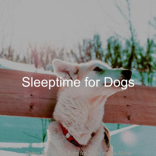 Background for Dogs cover art
