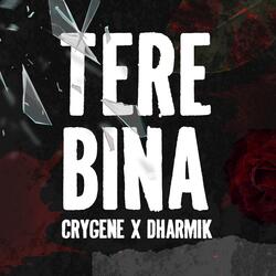 Tere Bina-PBs-ax8dYUQ