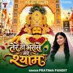 Tere Hi Bharoshe Mere Shyam