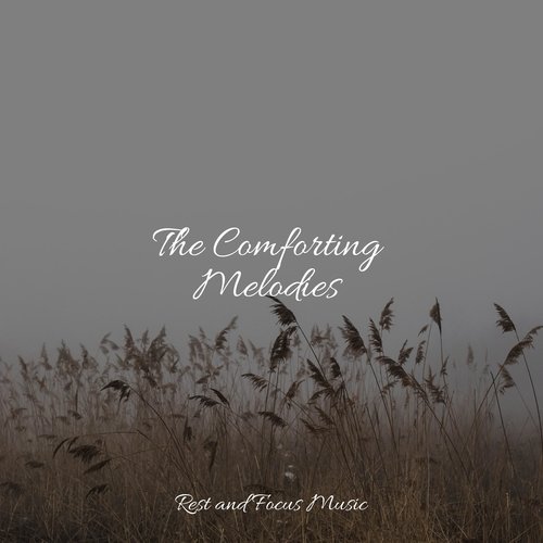 Sleep Soundtrack cover art