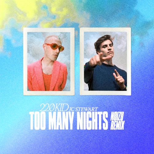 Too Many Nights (Noizu Remix)_poster_image