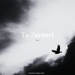 Tu Zaroori
