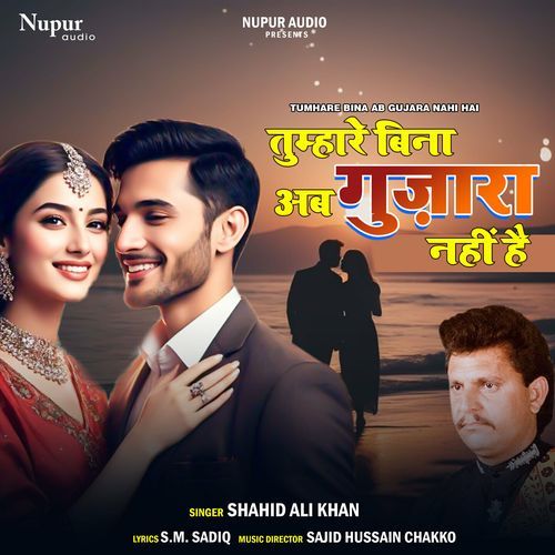 Tumhare Bina Ab Guzara Nahi Hai