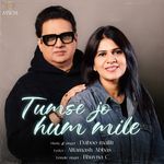 Tumse Jo Hum Mile