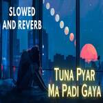 Tuna Pyar Ma Padi Gaya (Slowed and Reverb)