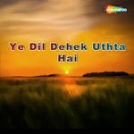 Ye Dil Dehek Uthta Hai