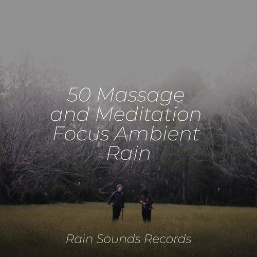 50 Massage and Meditation Focus Ambient Rain