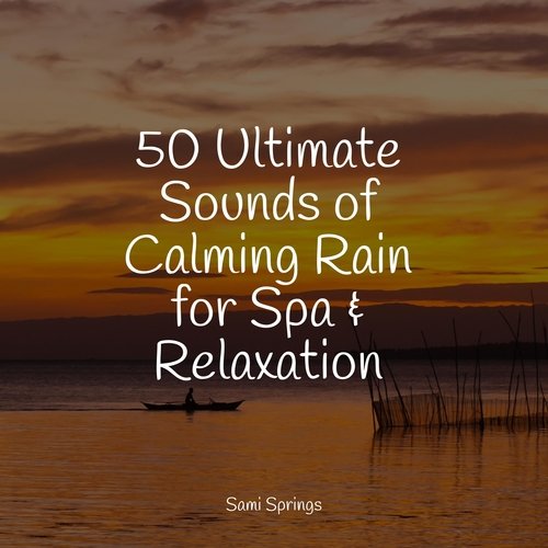 50 Ultimate Sounds of Calming Rain for Spa &amp; Relaxation_poster_image