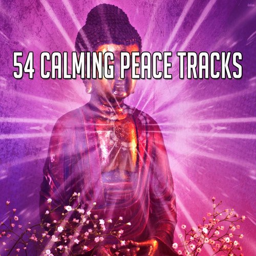 54 Calming Peace Tracks