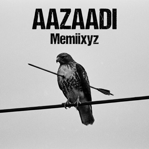 Aazaadi