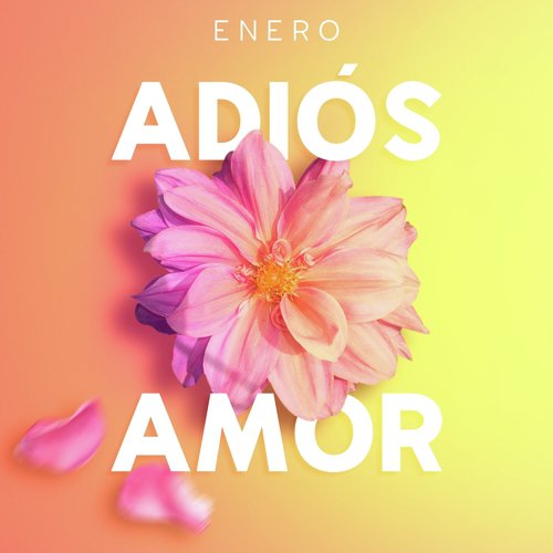 Adiós Amor