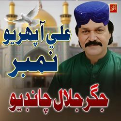 Ali Aa Pehriyon Number