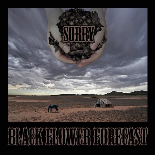 Black Flower Forecast