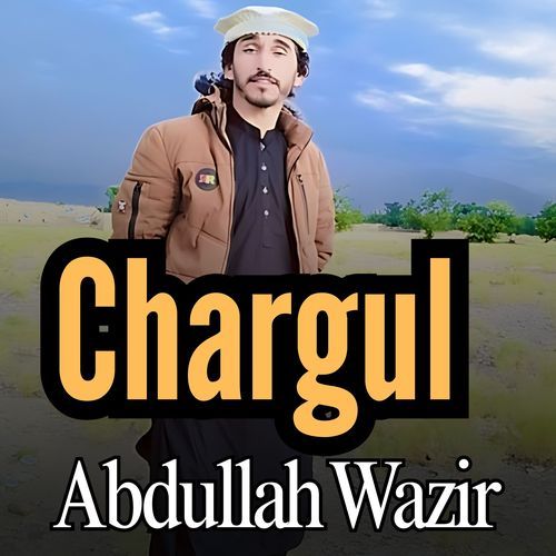 Chargul