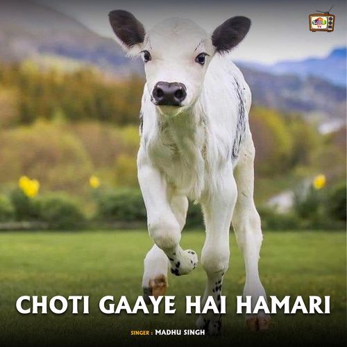 Choti Gaaye Hai Hamari
