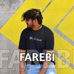 Farebi
