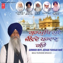 Merae Mann Tann Birho Gursikh Pag Layea, Jan Nanak Dharh Mangae Tis Gursikh Ki, Hum Tin Ke Charan Pakhalde, Gursikhan Kihar Dheorh Deh-L14RZBZCRwE