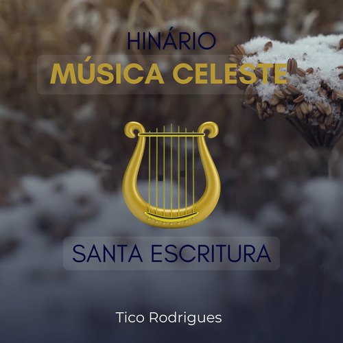 Que Diz a Bíblia? (Playback) cover art
