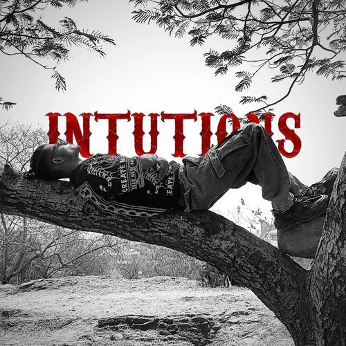 Intutions