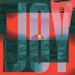Joy (PRAYE Remix)