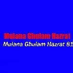 Mulana Ghulam Hazrat 91 artwork