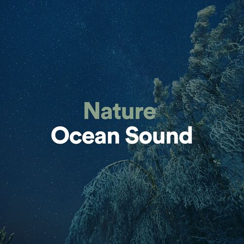 Nature Ocean Sound