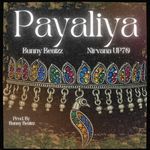 PAYALIYA